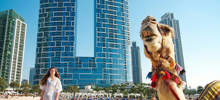 a camel on a beach
