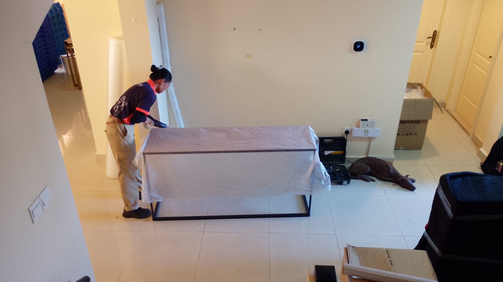 Professional movers in Al Reem Island Abu Dhabi - GI Movers UAE